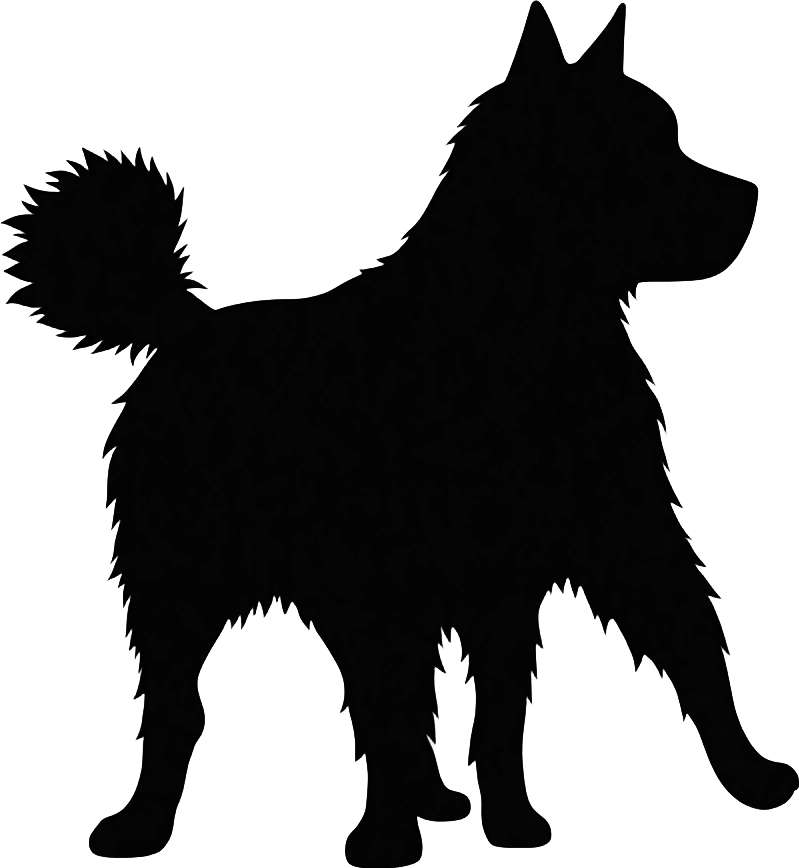 Silhouette of a Dog